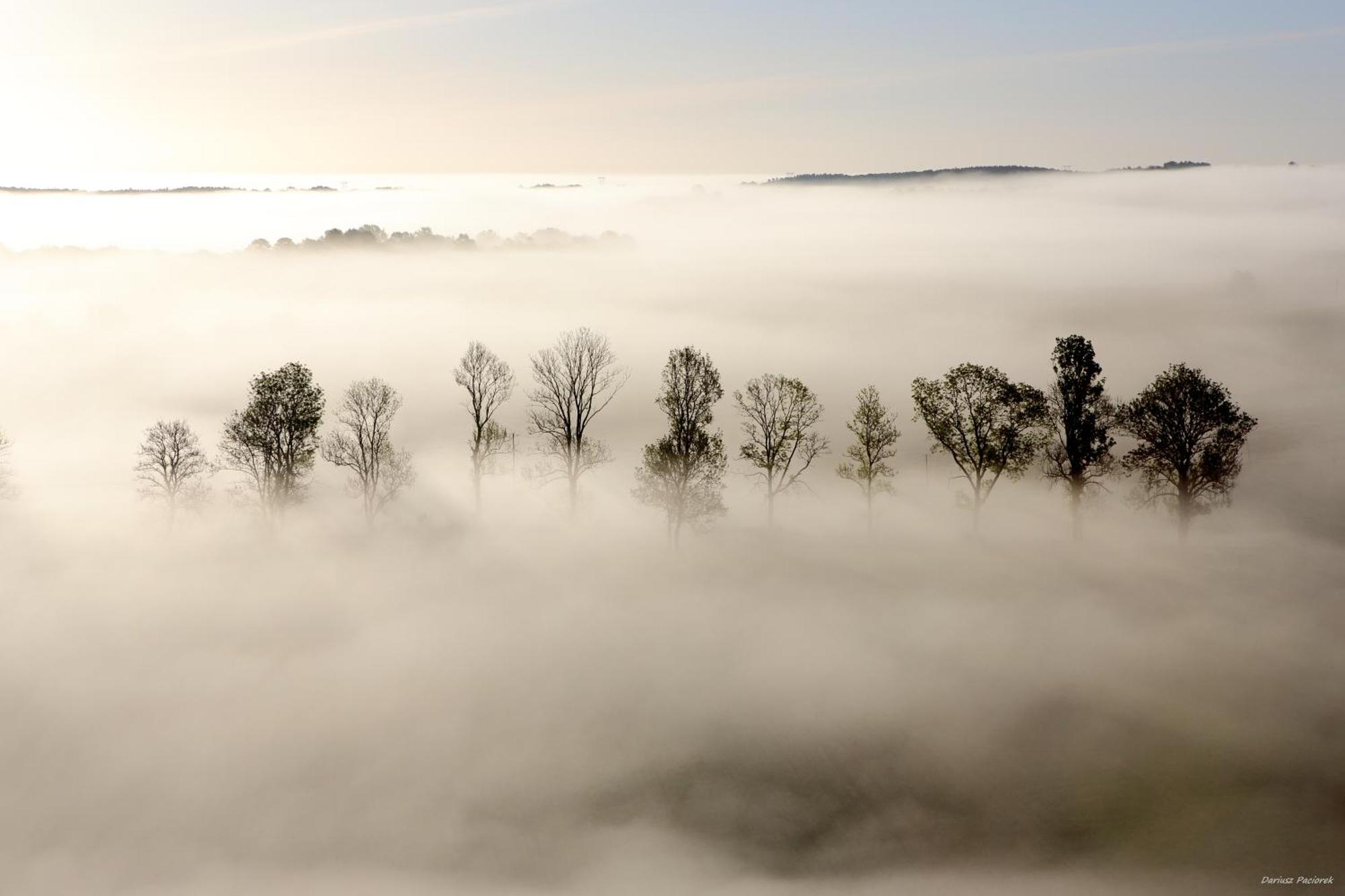 Vila Mila Przystan Ksiaznik Exteriér fotografie