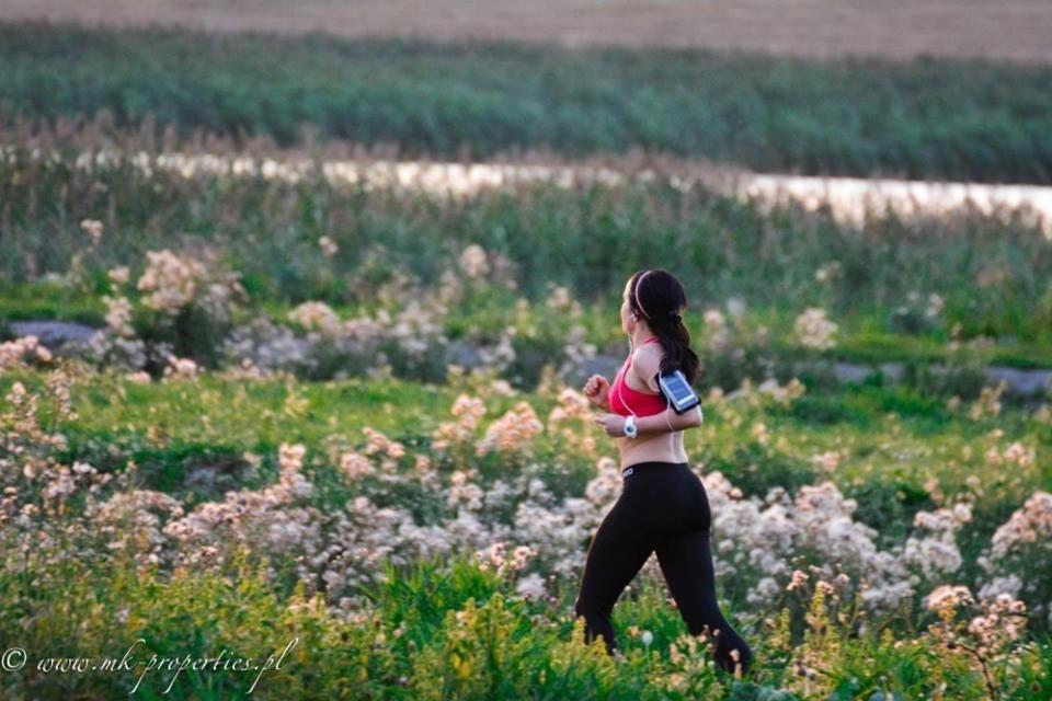 Vila Mila Przystan Ksiaznik Exteriér fotografie
